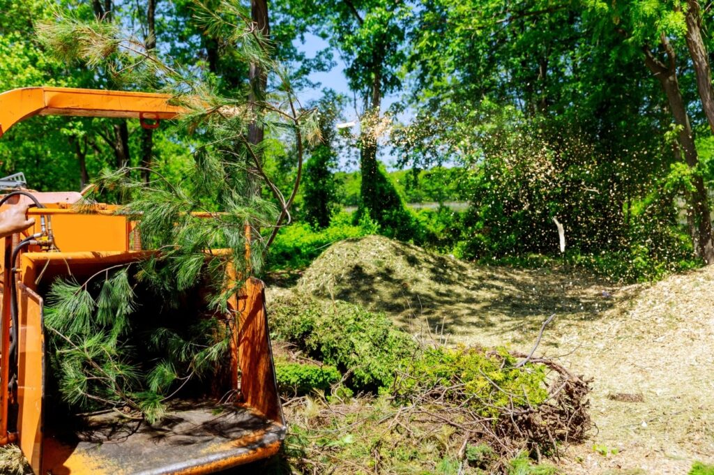 Lunenburg land clearing and chipping of tree branches