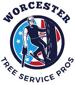 Worcester Tree Service Pros