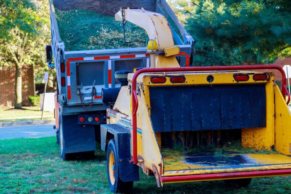 Finishing tree pruning project in Ayer, MA